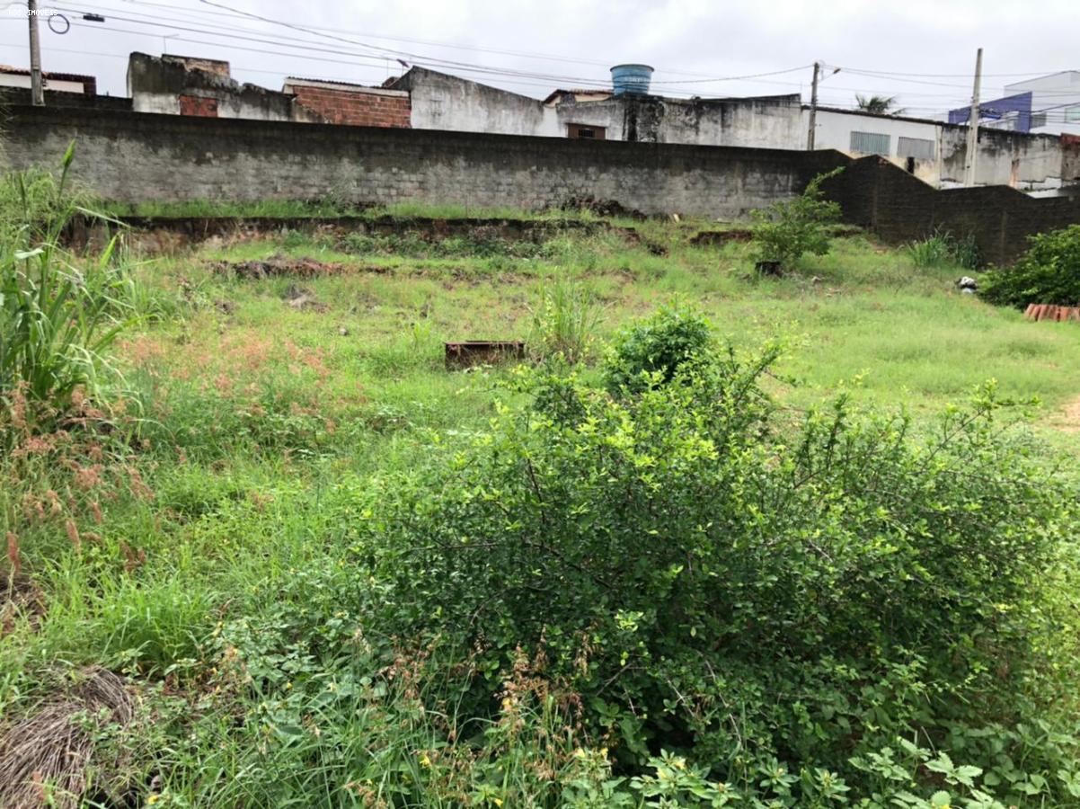 Terreno, 1000 m² - Foto 5