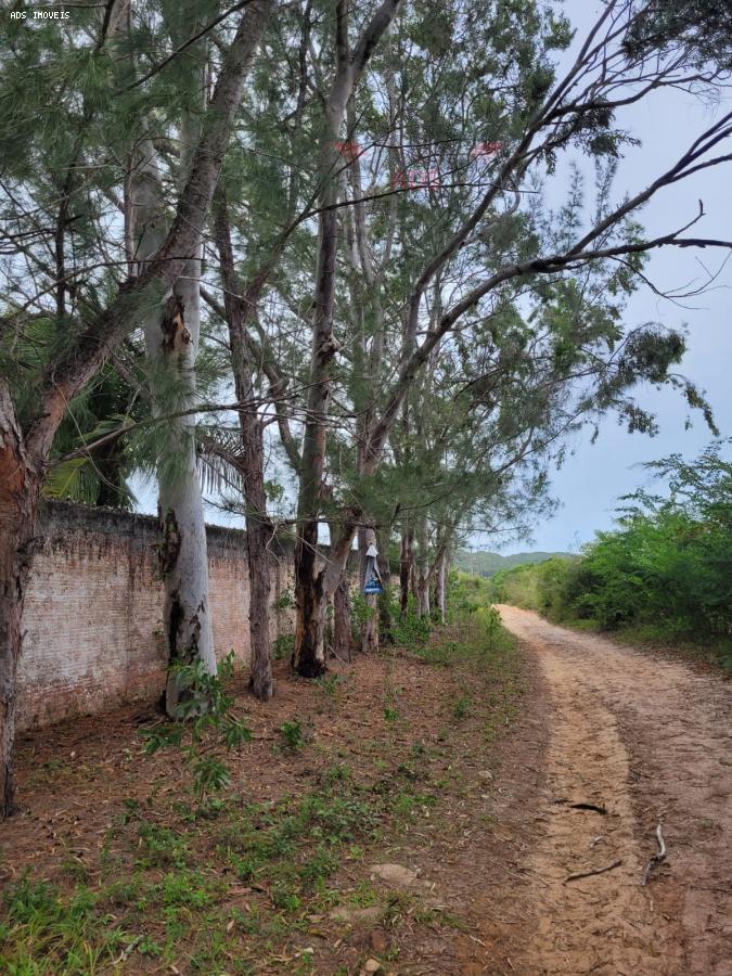 Sítio, 6 quartos, 2540 m² - Foto 31